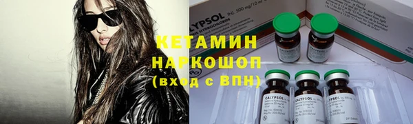 бошки Алексин