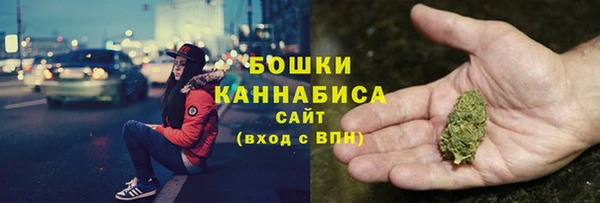 бошки Алексин