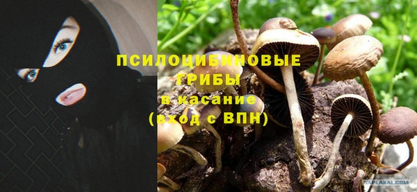 стаф Абдулино