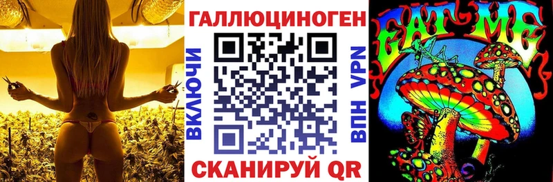 закладки  Белоозёрский  Галлюциногенные грибы мицелий 